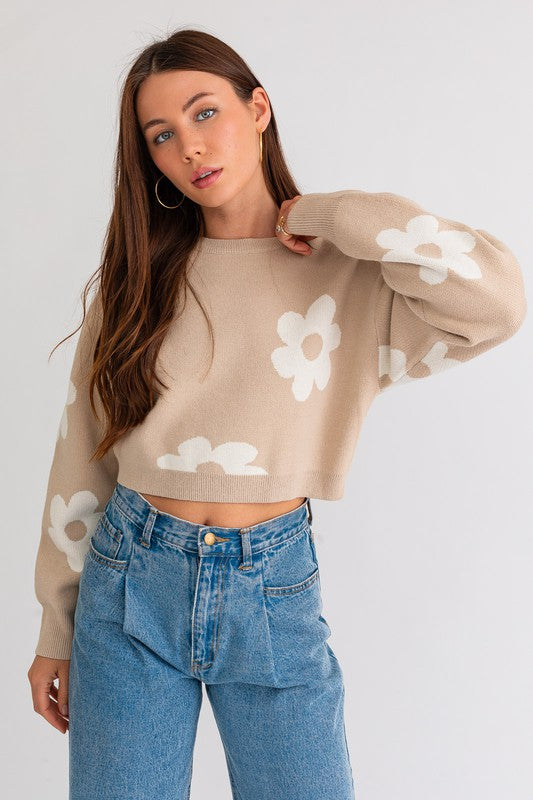 Daisy Dreams Cropped Sweater